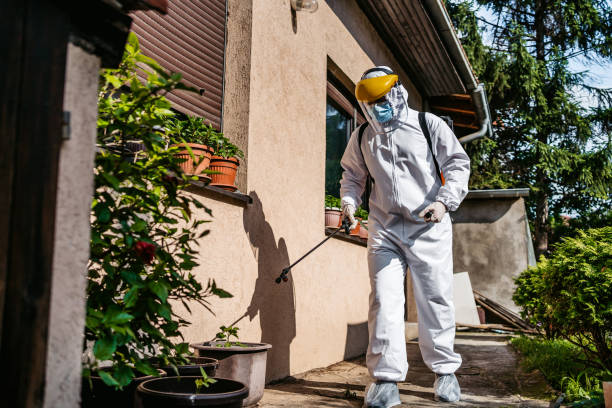 Best Flea Control Services  in Braselton, GA