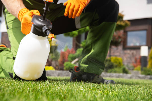 Best Wildlife Control Services  in Braselton, GA