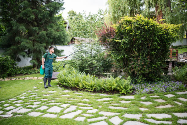 Best Affordable Pest Control Services  in Braselton, GA