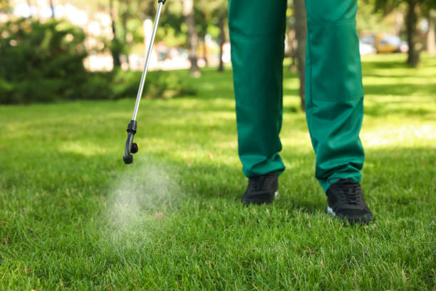 Best Residential Pest Control  in Braselton, GA