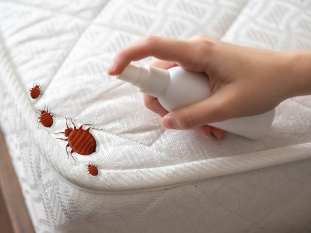 Best Pest Control for Restaurants  in Braselton, GA