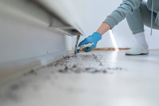 Best Cockroach Control Services  in Braselton, GA